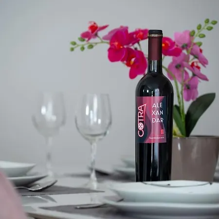 別荘 Casa Astra By Briskva *